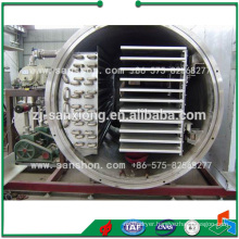 FDG Fruit and Vegetable Vacuum Freeze Drying Equipment